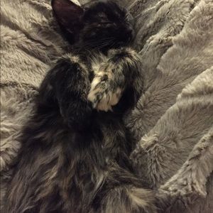 Meet your Posher, Kim